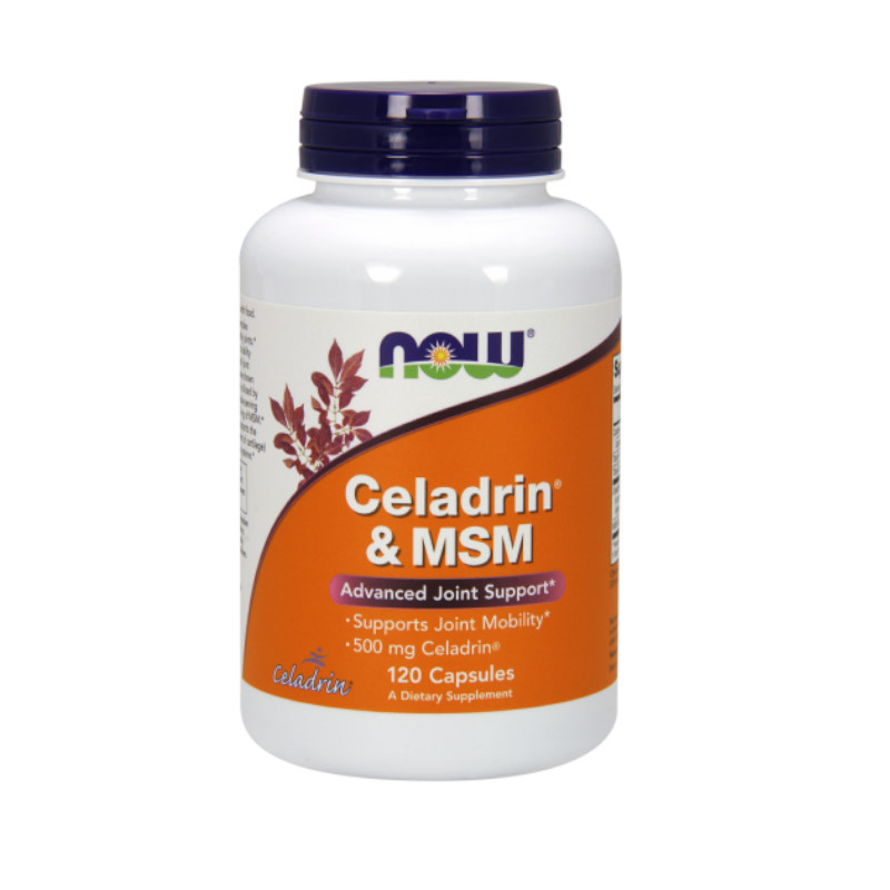 Regeneracja stawów Now Foods Celadrin & MSM 500 mg 120kaps