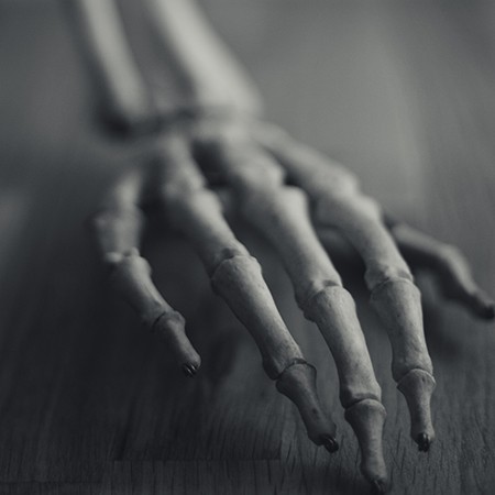kości dłoni