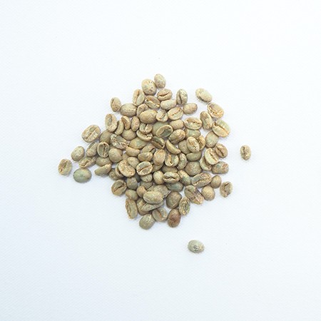 ziarna zielonej kawy