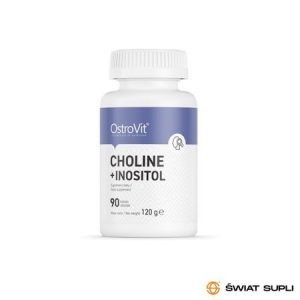 Wsparcie Mózgu Cholina + Inozytol Ostrovit Choline + Inositol 90tab
