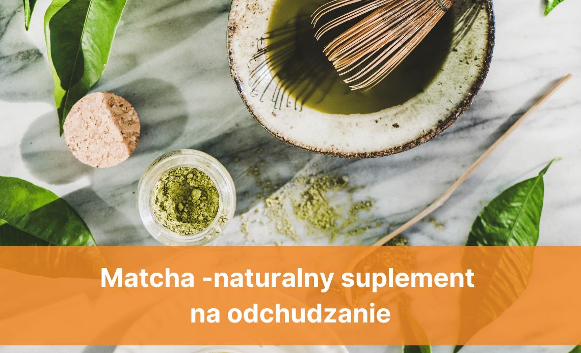 matcha właściwości