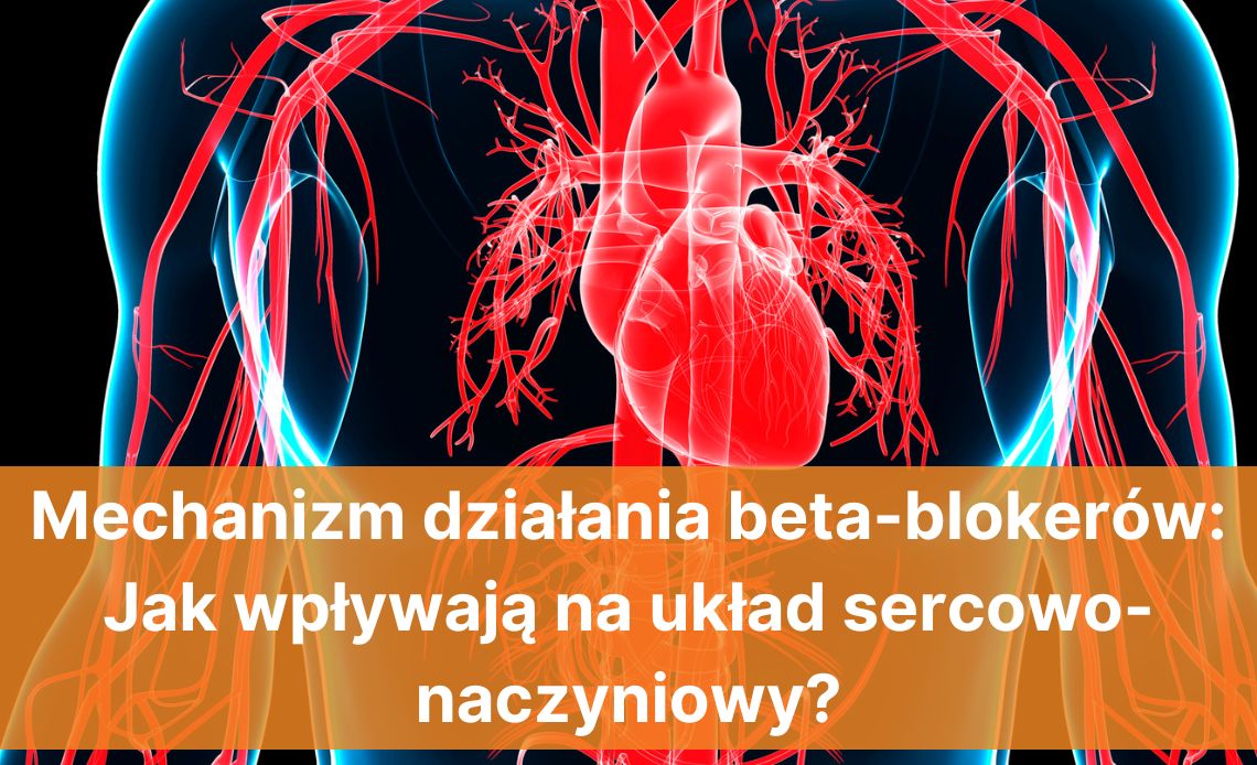 Mechanizm działania beta-blokerów: Jak wpływają na układ sercowo-naczyniowy?