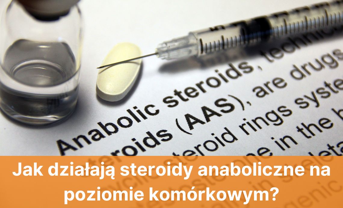 Jak działają steroidy anaboliczne na poziomie komórkowym?