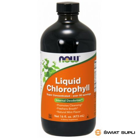 Wsparcie Jelit Chlorofil Now Foods Chlorophyll Liquid 473ml
