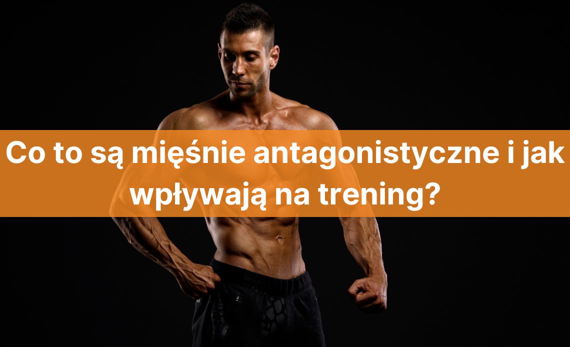 Co to są mięśnie antagonistyczne i jak wpływają na trening?