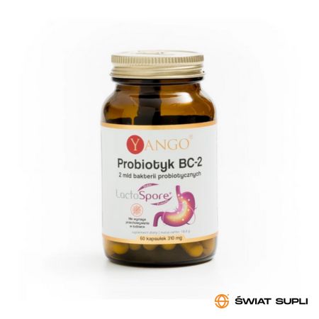 Wsparcie Jelit Probiotyki Yango Probiotyk BC-2 60kaps
