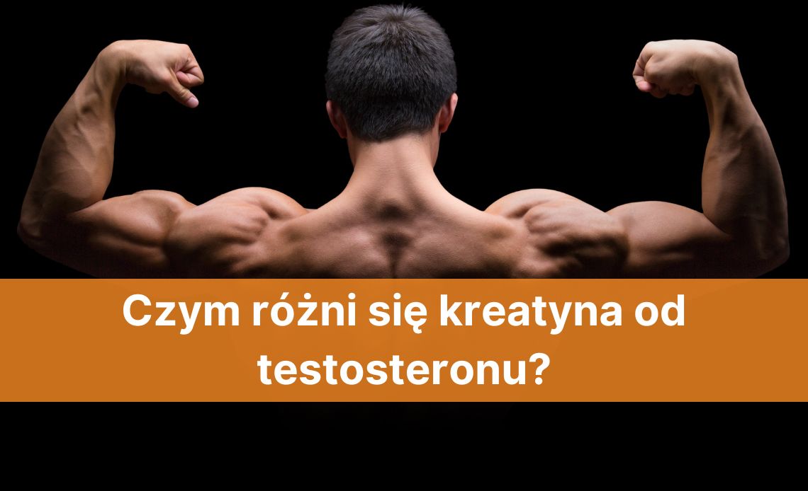 Czym różni się kreatyna od testosteronu?