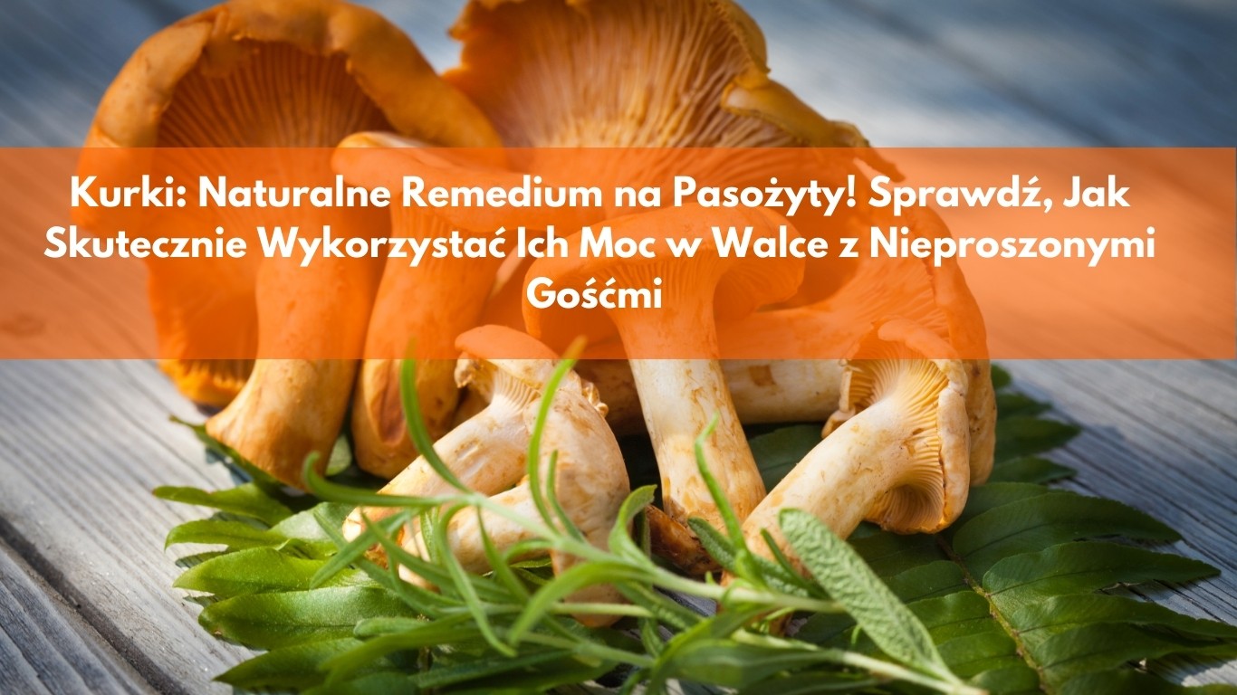 Kurki: Naturalne Remedium na Pasożyty! Sprawdź, Jak Skutecznie Wykorzystać Ich Moc w Walce z Nieproszonymi Gośćmi