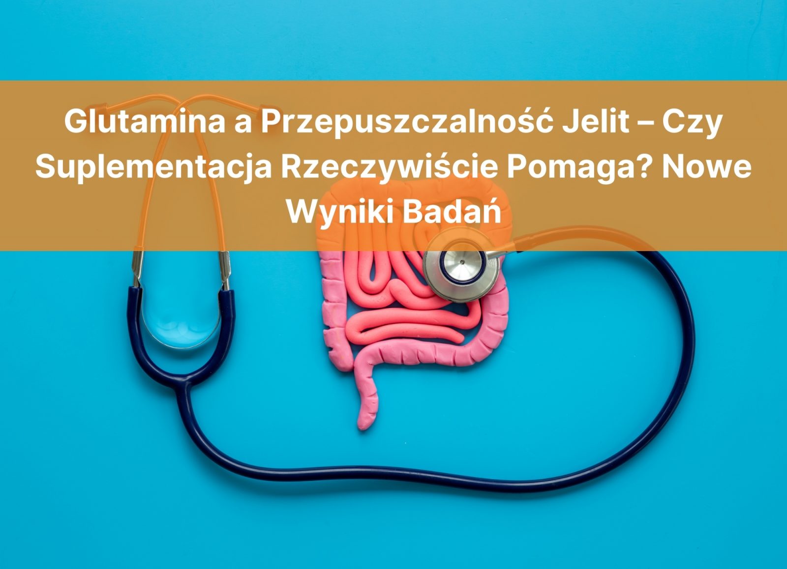 Glutamina a Przepuszczalność Jelit – Czy Suplementacja Rzeczywiście Pomaga? Nowe Wyniki Badań