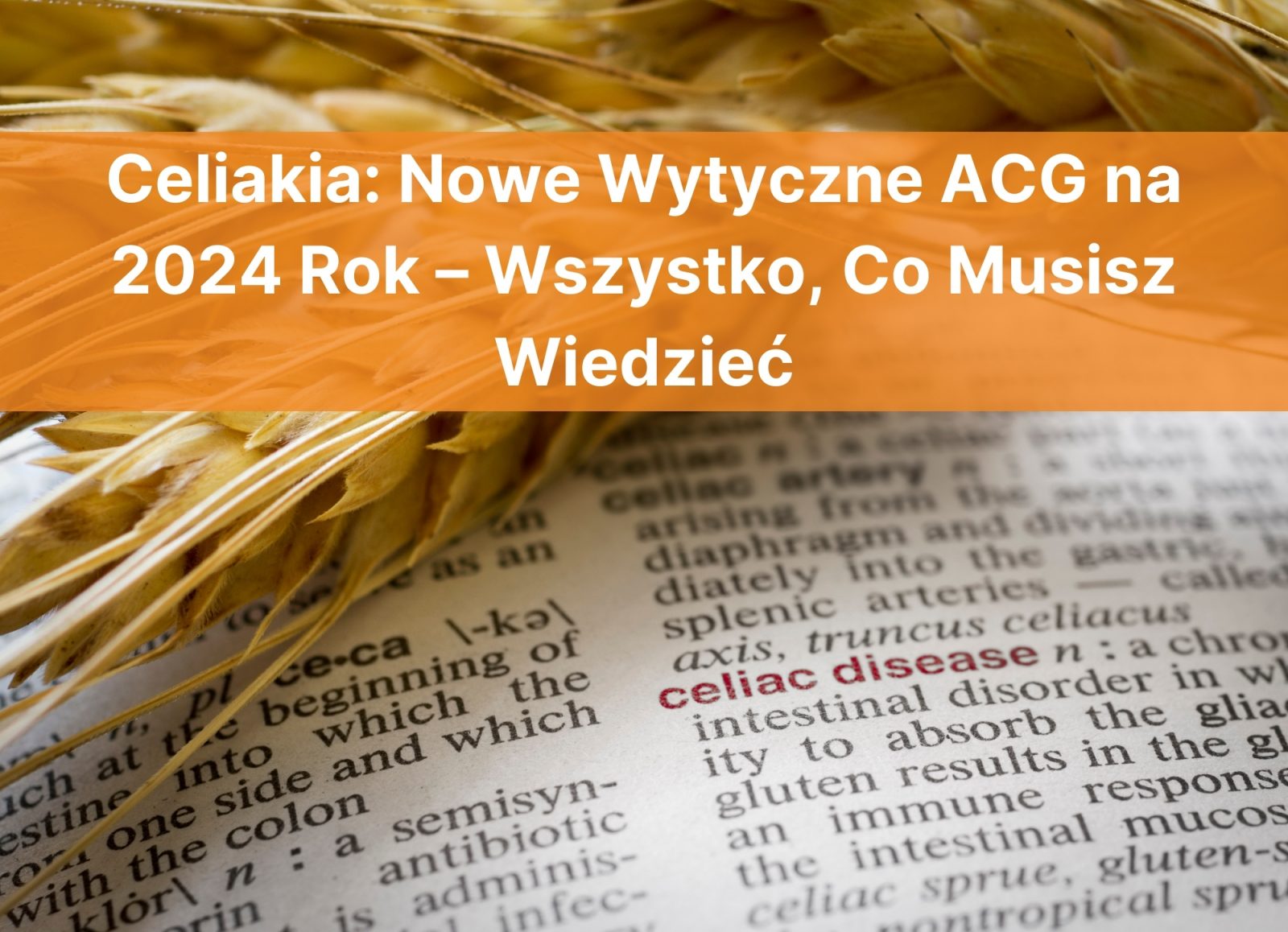 Celiakia: Nowe Wytyczne ACG na 2024 Rok – Wszystko, Co Musisz Wiedzieć