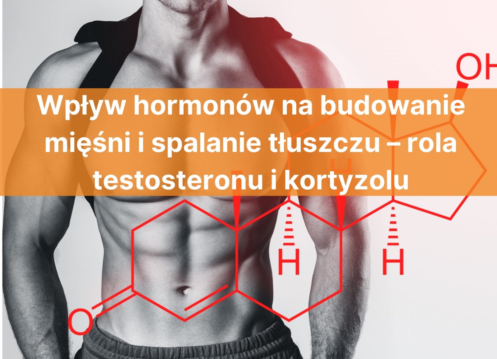 Wpływ hormonów na budowanie mięśni i spalanie tłuszczu – rola testosteronu i kortyzolu