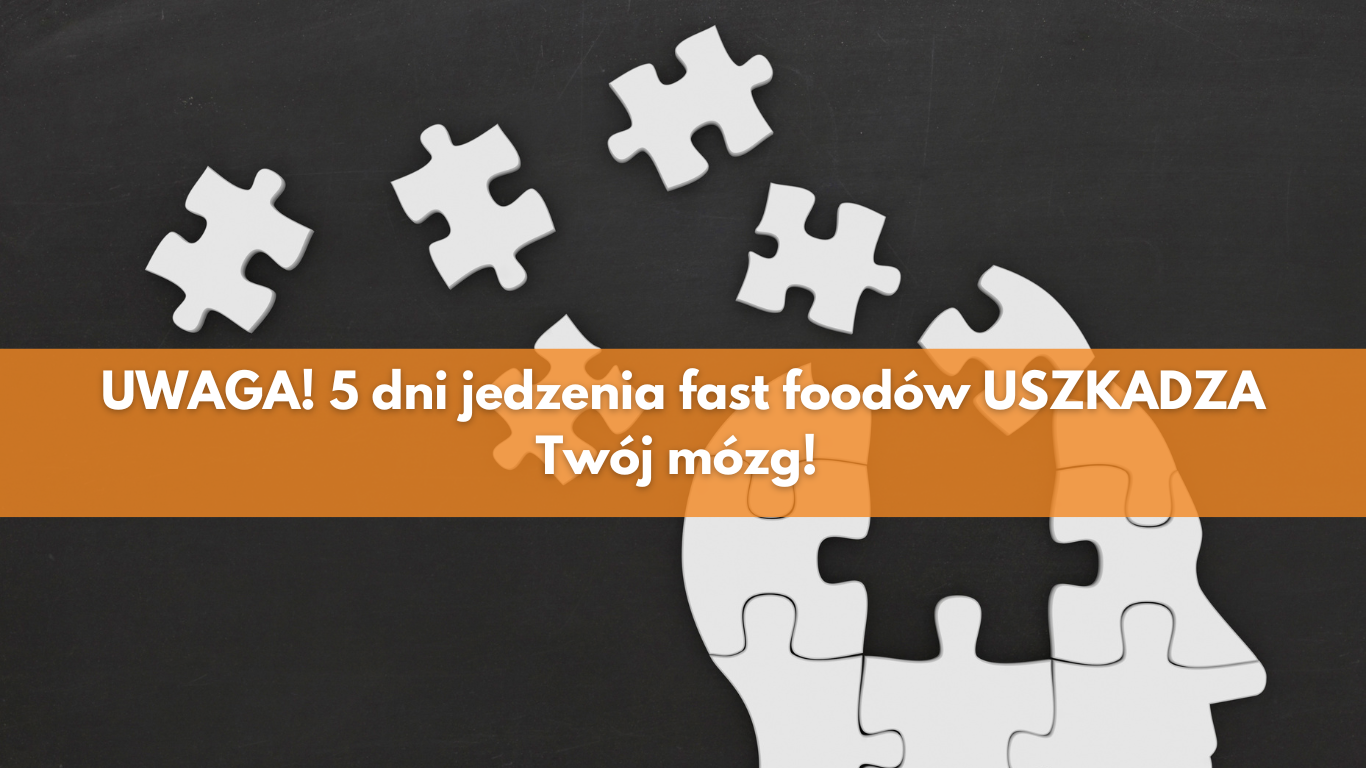 UWAGA! 5 dni jedzenia fast foodów uszkadza Twój mózg