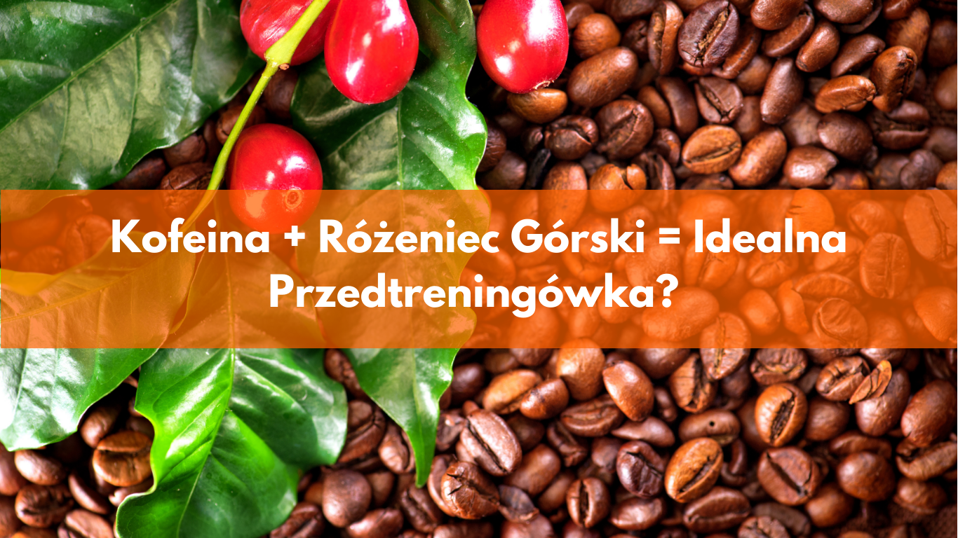 Kofeina + Różeniec Górski = Idealna Przedtreningówka? Nowe Badania Nie Pozostawiają Wątpliwości!