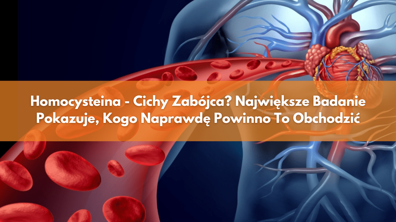 Homocysteina – Cichy Zabójca? Największe Badanie Pokazuje, Kogo Naprawdę Powinno To Obchodzić