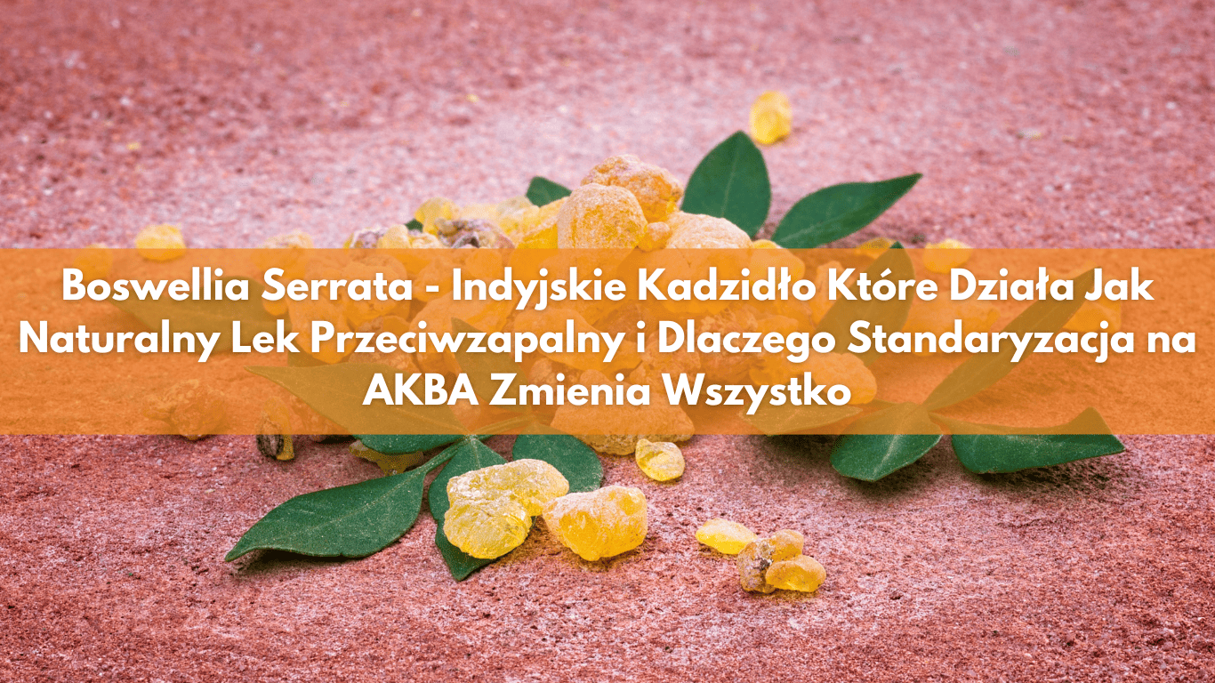 Boswellia Serrata – Indyjskie Kadzidło Które Działa Jak Naturalny Lek Przeciwzapalny i Dlaczego Standaryzacja na AKBA Zmienia Wszystko