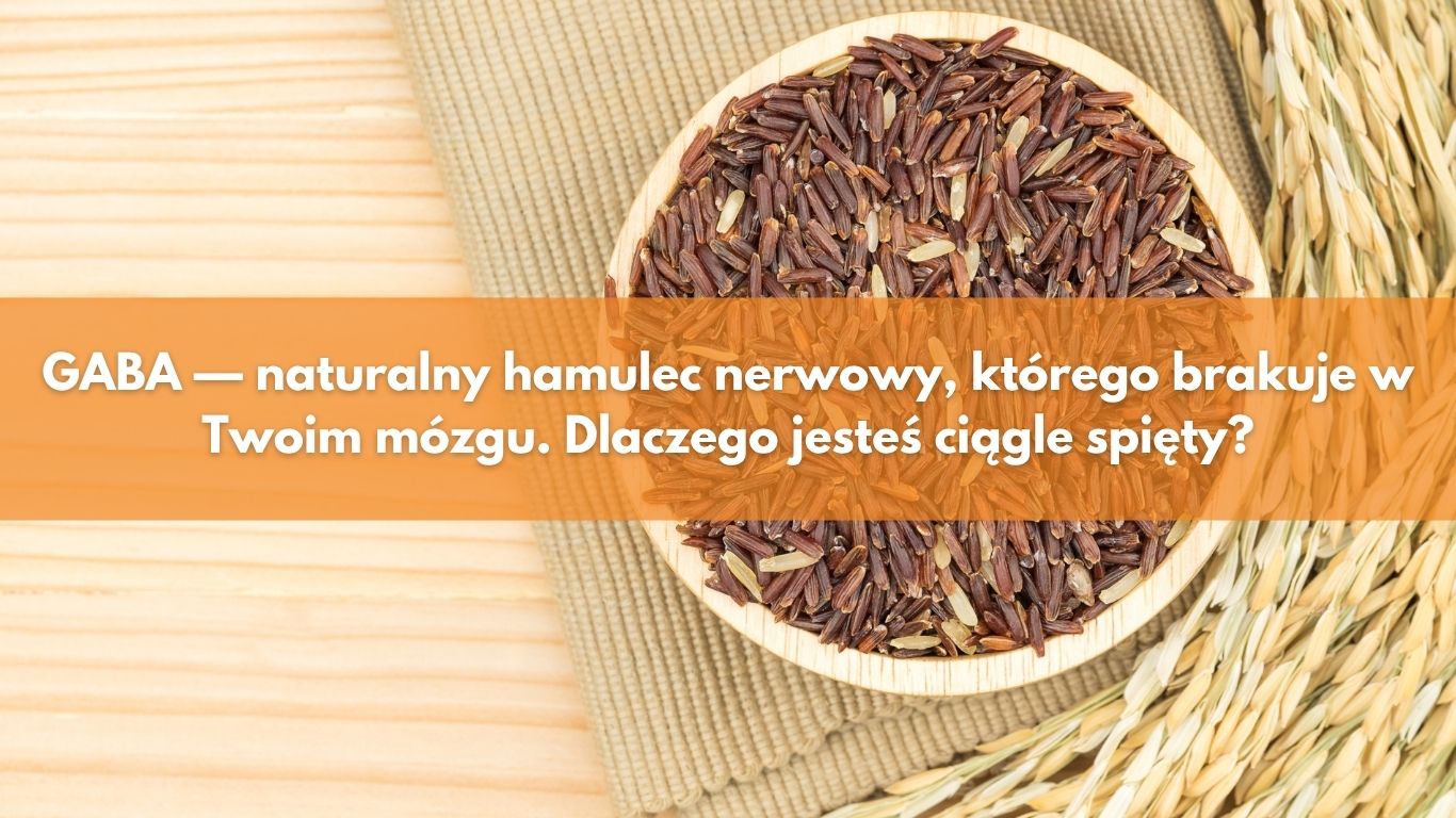 GABA — naturalny hamulec nerwowy, którego brakuje w Twoim mózgu. Dlaczego jesteś ciągle spięty?