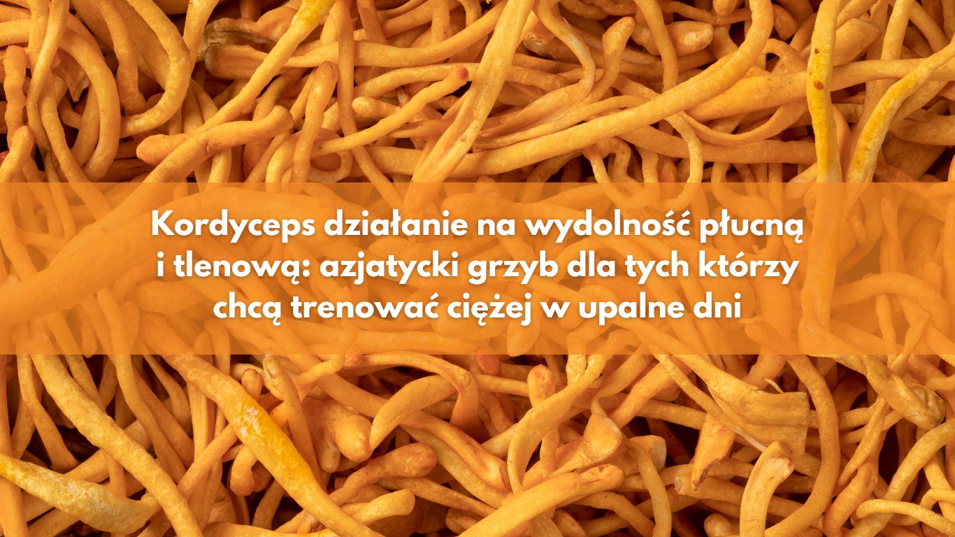 Kordyceps działanie na wydolność płucną i tlenową: azjatycki grzyb dla tych którzy chcą trenować ciężej w upalne dni